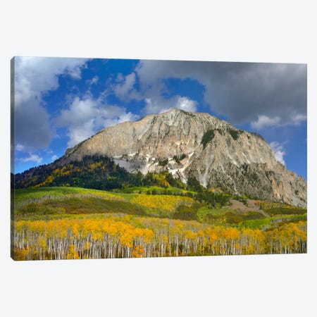 Marcellina Mountain And Aspen Forest In Raggeds Wilderness, Colorado Canvas Print #TFI572} by Tim Fitzharris Canvas Artwork