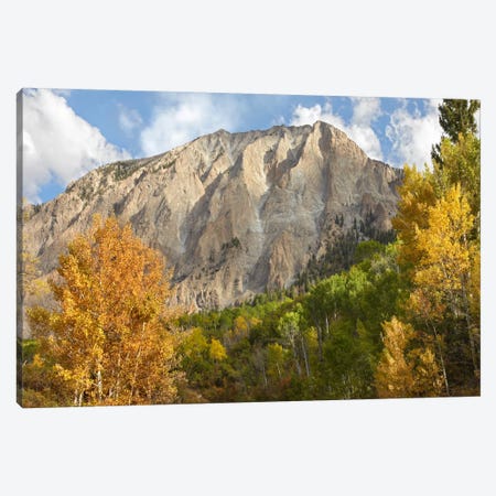Marcellina Mountain Near Crested Butte, Colorado Canvas Print #TFI573} by Tim Fitzharris Canvas Artwork