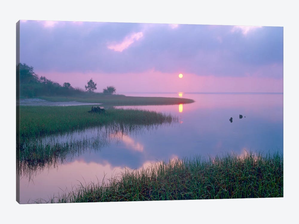 Marsh At Sunrise Over Eagle Bay, St Joseph Peninsula, Florida by Tim Fitzharris 1-piece Canvas Art
