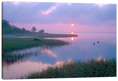 Marsh At Sunrise Over Eagle Bay, St Joseph Peninsula, Florida Canvas Art Print