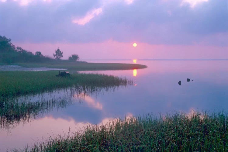 Marsh At Sunrise Over Eagle Bay, St Joseph Peninsula, Florida