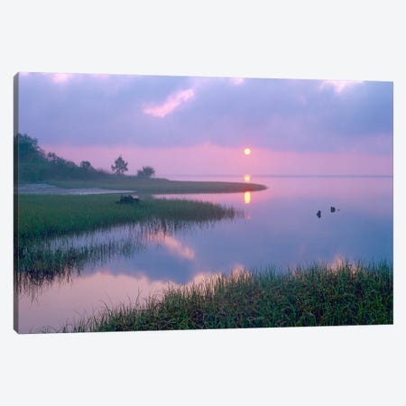 Marsh At Sunrise Over Eagle Bay, St Joseph Peninsula, Florida Canvas Print #TFI577} by Tim Fitzharris Art Print