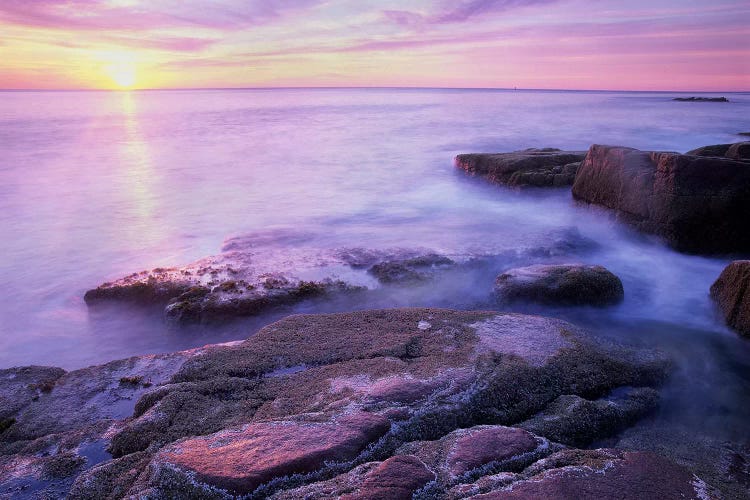 Atlantic Coast Near Thunder Hole V, Acadia National Park, Maine