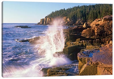 Atlantic Coast Near Thunder Hole, Acadia National Park, Maine VI Canvas Art Print - Maine Art