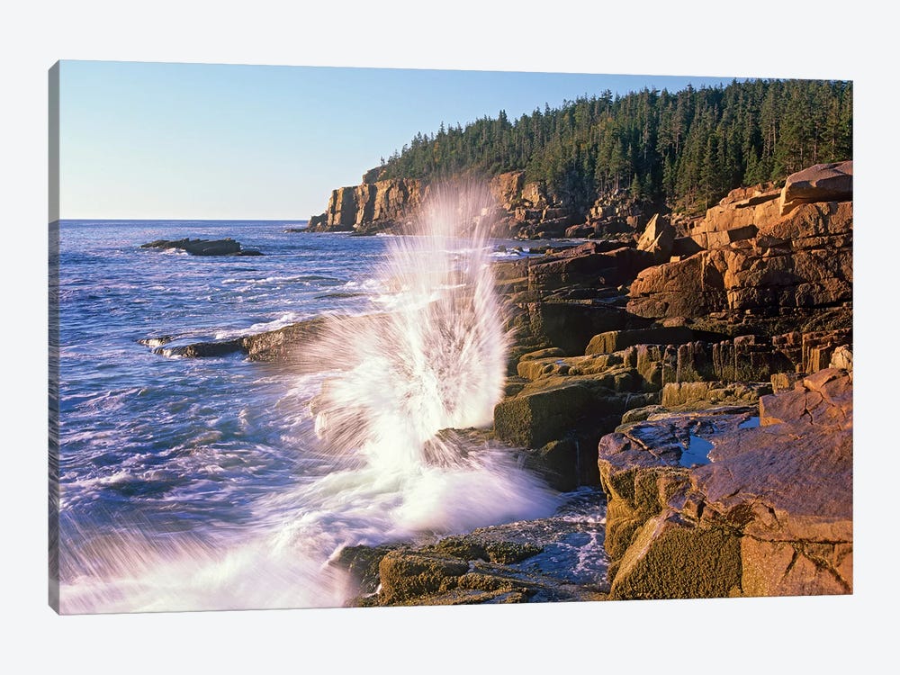 Atlantic Coast Near Thunder Hole, Acadia National Park, Maine VI by Tim Fitzharris 1-piece Canvas Print
