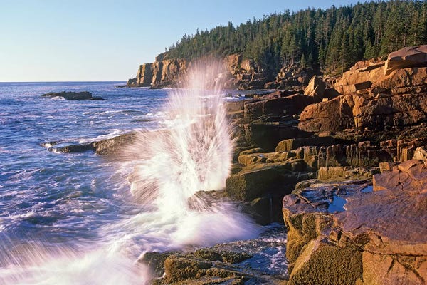 Tim Fitzharris: Atlantic Coast Near Thunder Hole VI, Acadia National Park, Maine by Tim Fitzharris