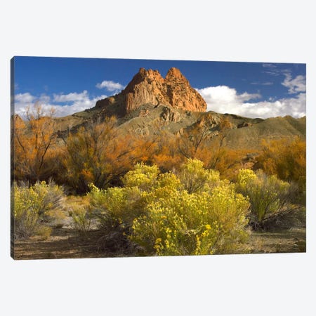 Mitten Rock, New Mexico Canvas Print #TFI604} by Tim Fitzharris Art Print