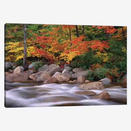 Autumn Along Swift River, White Mountains National Forest, New Hampshire - Horizontal Canvas Print #TFI60} by Tim Fitzharris Canvas Art