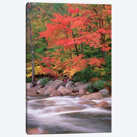 Autumn Along Swift River, White Mountains National Forest, New Hampshire - Vertical Canvas Print #TFI61} by Tim Fitzharris Canvas Artwork