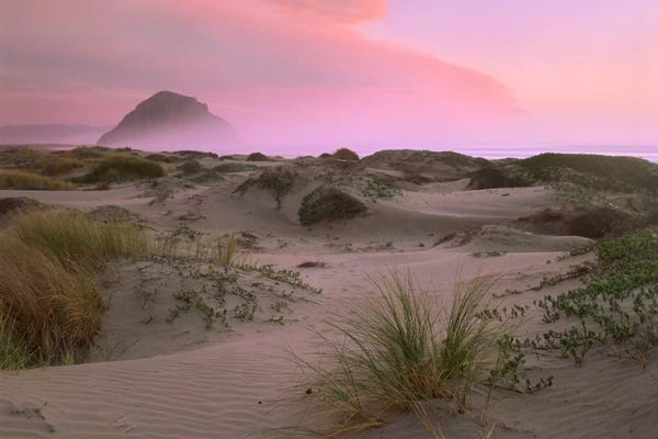 Minden Pictures: Morro Rock At Morro Bay, California by Tim Fitzharris
