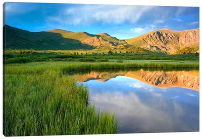 Mount Bierstadt From Guanella Pass Reflected In Pond, Colorado Canvas Art Print - Colorado Art