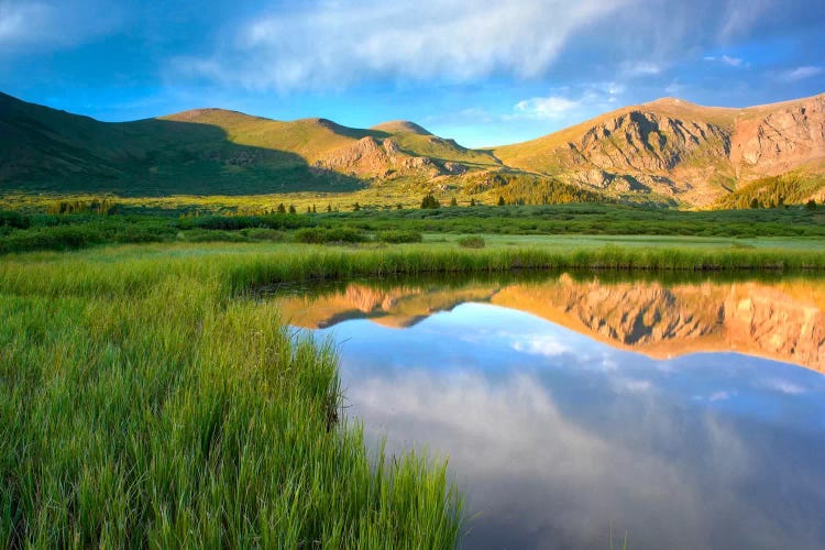 Mount Bierstadt From Guanella Pass Reflected In Pond, Colorado