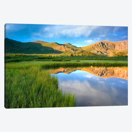 Mount Bierstadt From Guanella Pass Reflected In Pond, Colorado Canvas Print #TFI629} by Tim Fitzharris Canvas Art