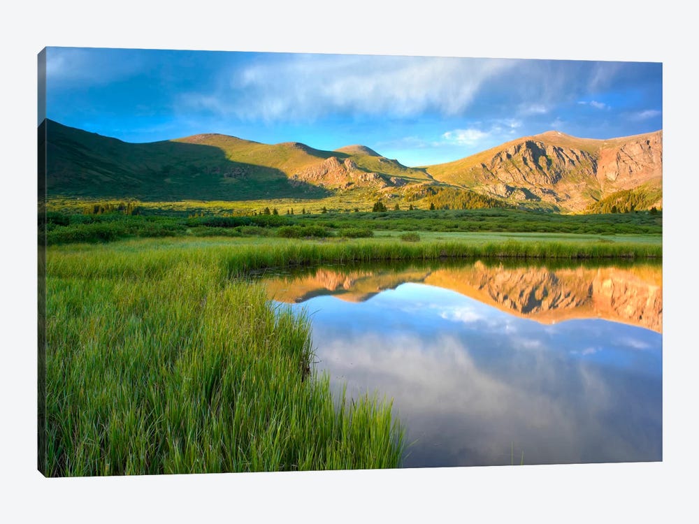 Mount Bierstadt From Guanella Pass Reflected In Pond, Colorado by Tim Fitzharris 1-piece Art Print