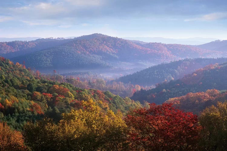 Autumn Deciduous Forest From The Blue Ridge Parkway, North Carolina