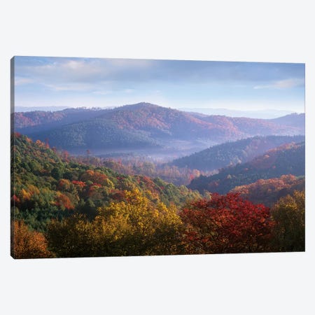 Autumn Deciduous Forest From The Blue Ridge Parkway, North Carolina Canvas Print #TFI62} by Tim Fitzharris Canvas Art