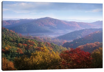 Autumn Deciduous Forest From The Blue Ridge Parkway, North Carolina Canvas Art Print - Mist & Fog Art
