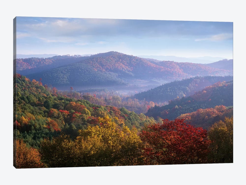 Autumn Deciduous Forest From The Blue Ridge Parkway, North Carolina by Tim Fitzharris 1-piece Canvas Art