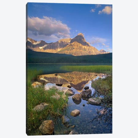Mount Chephren And Waterfowl Lake, Banff National Park, Alberta, Canada Canvas Print #TFI630} by Tim Fitzharris Art Print