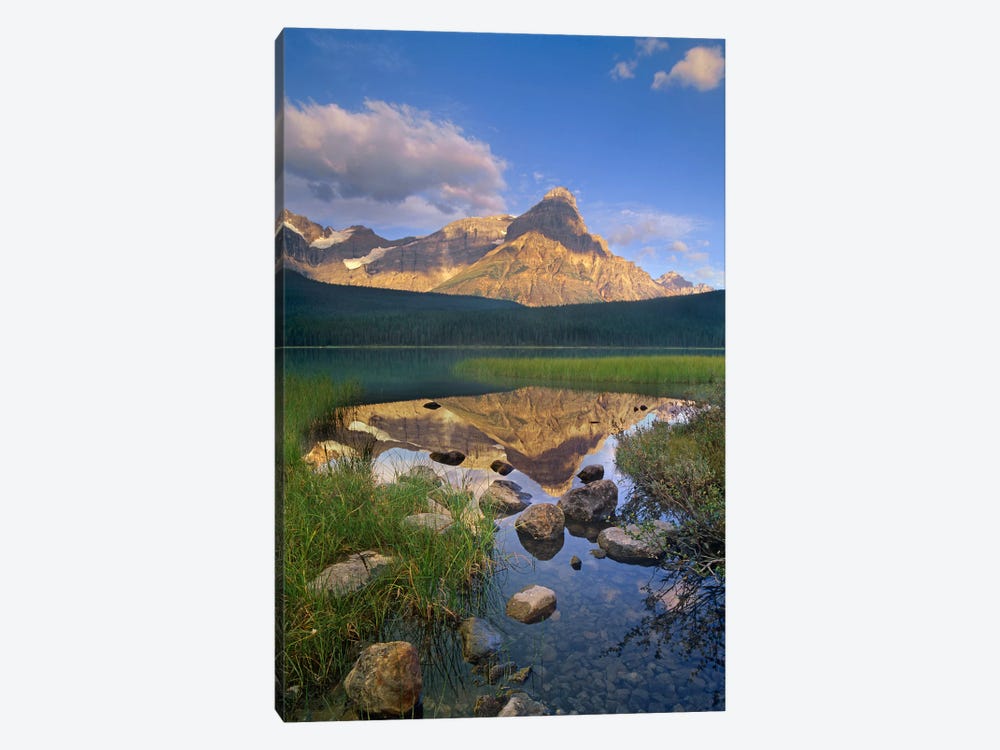Mount Chephren And Waterfowl Lake, Banff National Park, Alberta, Canada by Tim Fitzharris 1-piece Art Print
