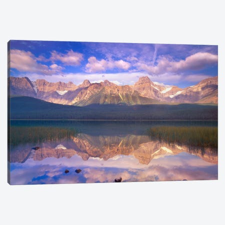 Mount Chephren Reflected In Waterfowl Lake, Banff National Park, Alberta, Canada Canvas Print #TFI631} by Tim Fitzharris Canvas Art Print