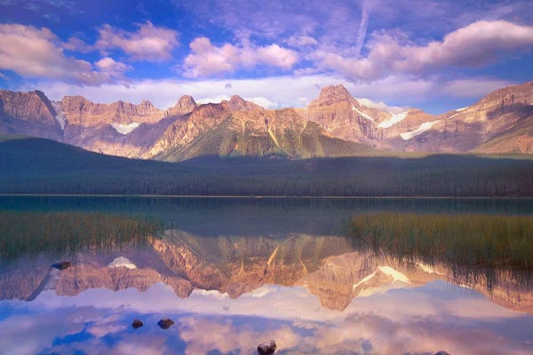 Alberta: Mount Chephren Reflected In Waterfowl Lake, Banff National Park, Alberta, Canada by Tim Fitzharris