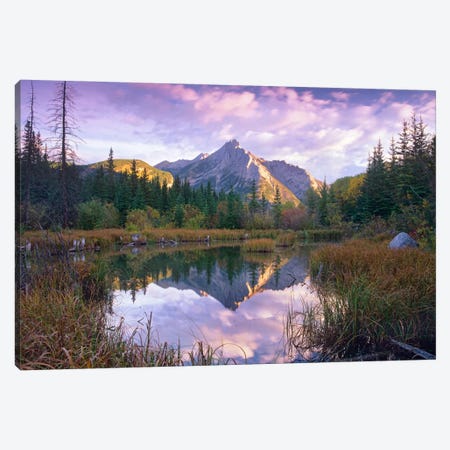 Mount Lorette And Spruce Trees Reflected In Lake, Alberta, Canada Canvas Print #TFI633} by Tim Fitzharris Canvas Print