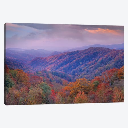 Autumn Deciduous Forest, Great Smoky Mountains National Park, Tennessee Canvas Print #TFI63} by Tim Fitzharris Canvas Art