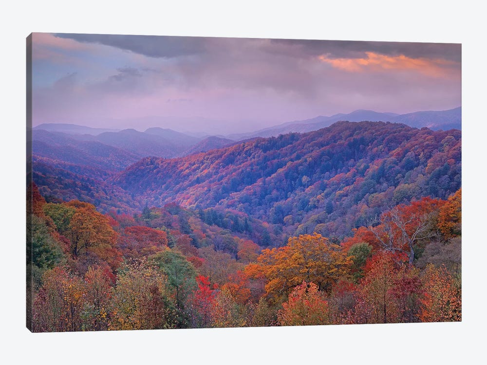 Autumn Deciduous Forest, Great Smoky Mountains National Park, Tennessee by Tim Fitzharris 1-piece Canvas Art Print