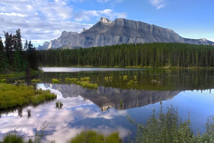 Mount Rundle And Boreal Forest Reflected In J Tim Fitzharris Icanvas