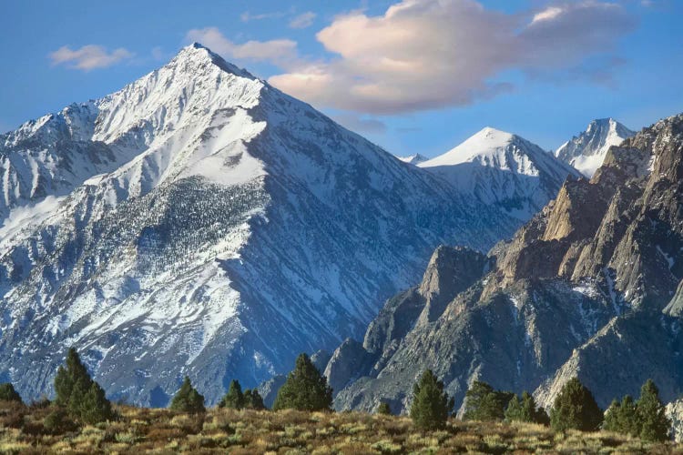 Mount Tom, Sierra Nevada, John Muir Wilderness, Inyo National Forest, California