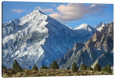 Mount Tom, Sierra Nevada, John Muir Wilderness, Inyo National Forest, California Canvas Art Print - Mountain Art