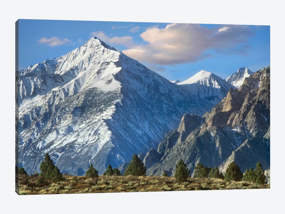 Mount Tom, Sierra Nevada, John Muir Wilderness, Inyo National Forest, California by Tim Fitzharris 1-piece Canvas Art Print