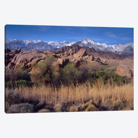 Mount Whitney And The Sierra Nevada From Alabama Hills, California Canvas Print #TFI648} by Tim Fitzharris Canvas Wall Art