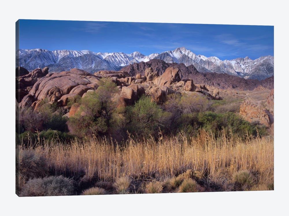 Mount Whitney And The Sierra Nevada From Alabama Hills, California by Tim Fitzharris 1-piece Canvas Artwork