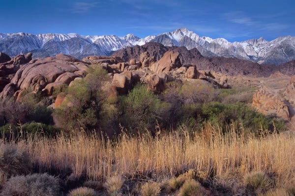 Sierra Nevada: Mount Whitney And The Sierra Nevada From Alabama Hills, California by Tim Fitzharris