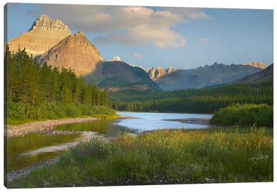 Mount Wilbur At Fishercap Lake, Glacier National Park, Montana Canvas Art Print - Montana