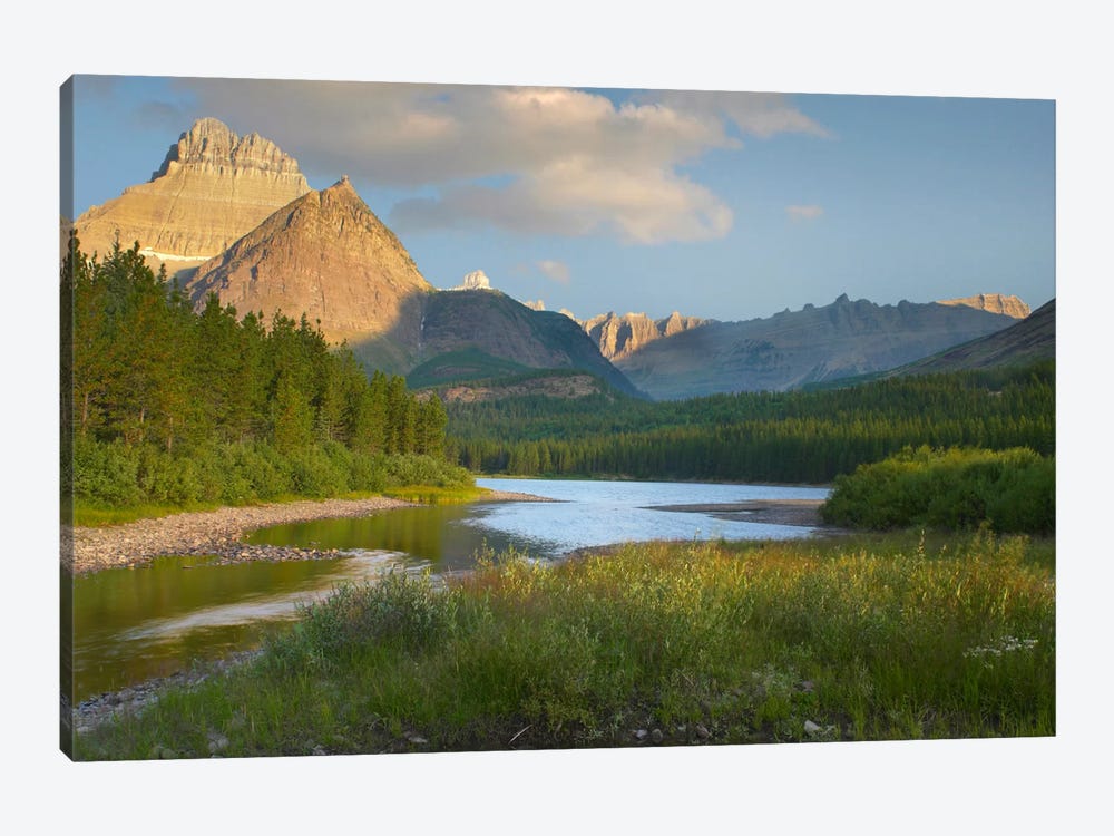 Mount Wilbur At Fishercap Lake, Glacier National Park, Montana by Tim Fitzharris 1-piece Canvas Art Print