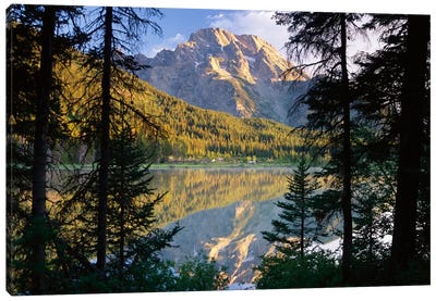 Mt Moran And String Lake, Grand Teton National Park, Wyoming Canvas Art Print - Evergreen Tree Art