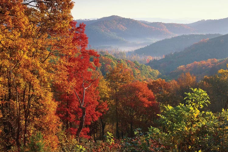 Autumn Foliage On Blue Ridge Range Near Jumping Off Rock, North Carolina