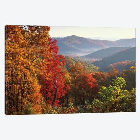 Autumn Foliage On Blue Ridge Range Near Jumping Off Rock, North Carolina Canvas Print #TFI65} by Tim Fitzharris Canvas Print