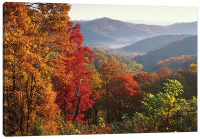 Autumn Foliage On Blue Ridge Range Near Jumping Off Rock, North Carolina Canvas Art Print - Autumn Art