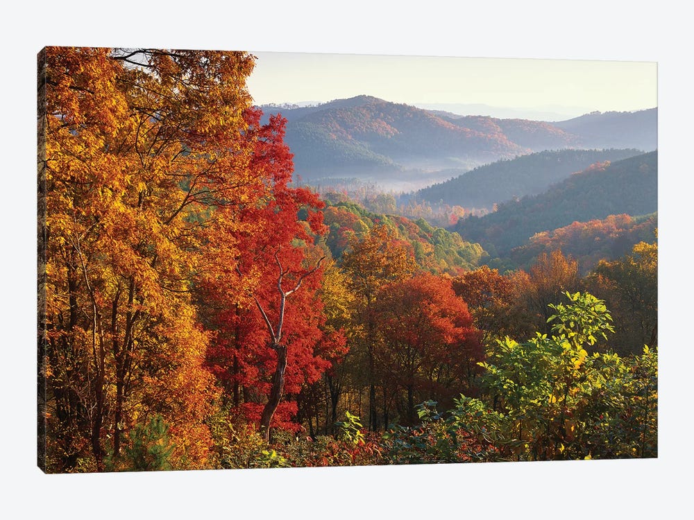 Autumn Foliage On Blue Ridge Range Near Jumping Off Rock, North Carolina by Tim Fitzharris 1-piece Canvas Print