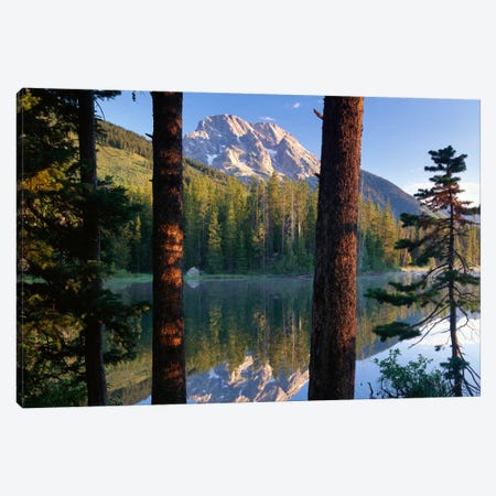 Mt Moran Reflected In String Lake, Grand Teton National Park, Wyoming Canvas Print #TFI660} by Tim Fitzharris Canvas Art