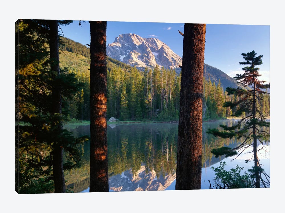 Mt Moran Reflected In String Lake, Grand Teton National Park, Wyoming by Tim Fitzharris 1-piece Canvas Art