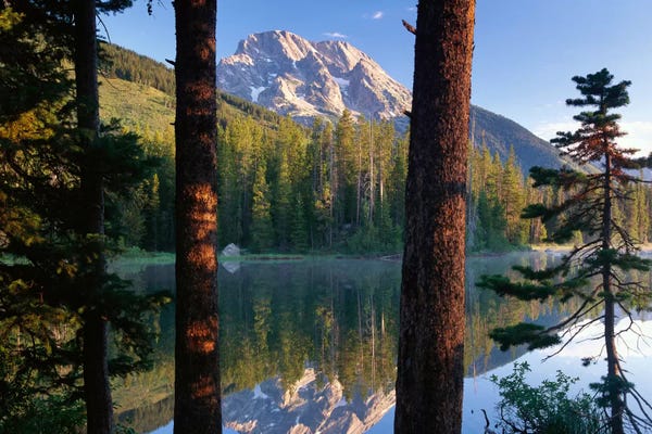 Wyoming: Mt Moran Reflected In String Lake, Grand Teton National Park, Wyoming by Tim Fitzharris
