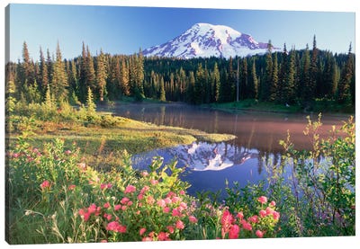 Mt Rainier And Wildflowers At Reflection Lake, Mt Rainier National Park, Washington Canvas Art Print - Mountains Scenic Photography