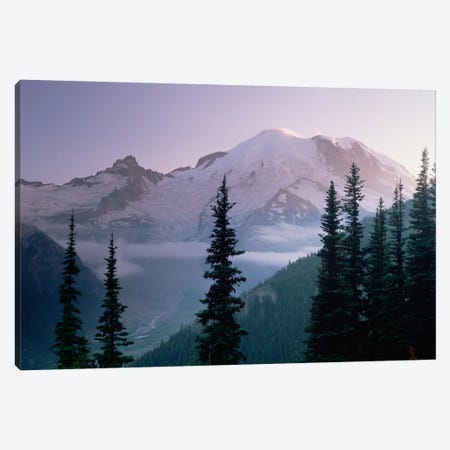Mt Rainier As Seen At Sunrise, Mt Rainier National Park, Washington I Canvas Print #TFI665} by Tim Fitzharris Canvas Print
