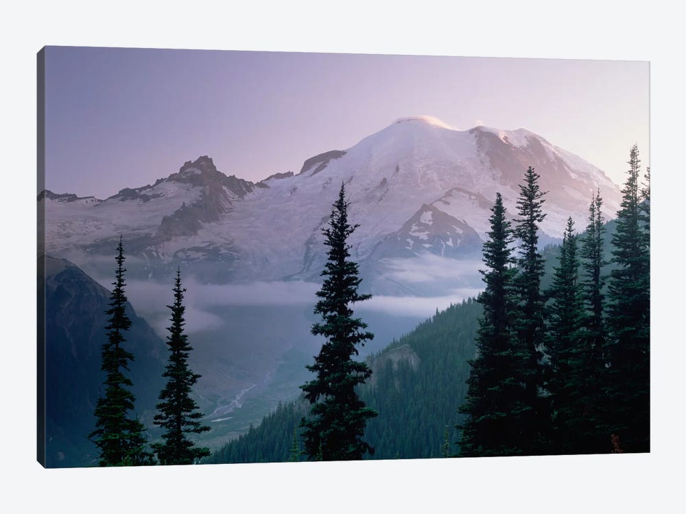 Mt Rainier As Seen At Sunrise, Mt Rainier National Park, Washington I by Tim Fitzharris 1-piece Canvas Art Print