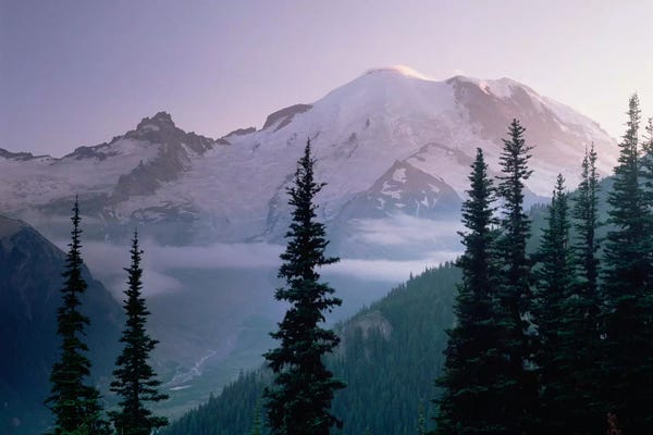 Tim Fitzharris: Mt Rainier As Seen At Sunrise, Mt Rainier National Park, Washington I by Tim Fitzharris
